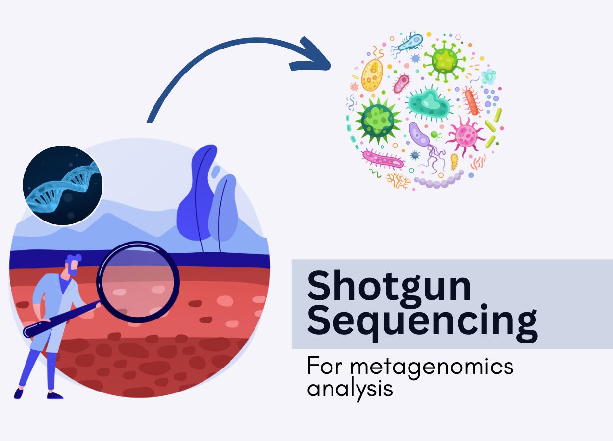Shotgun metagenomics sequencing illustration